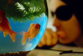 portrait with double eye-patches,  with goldfish in bowl