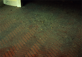 photograph of a house interior