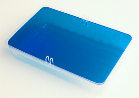 photo of 'Poolswin'